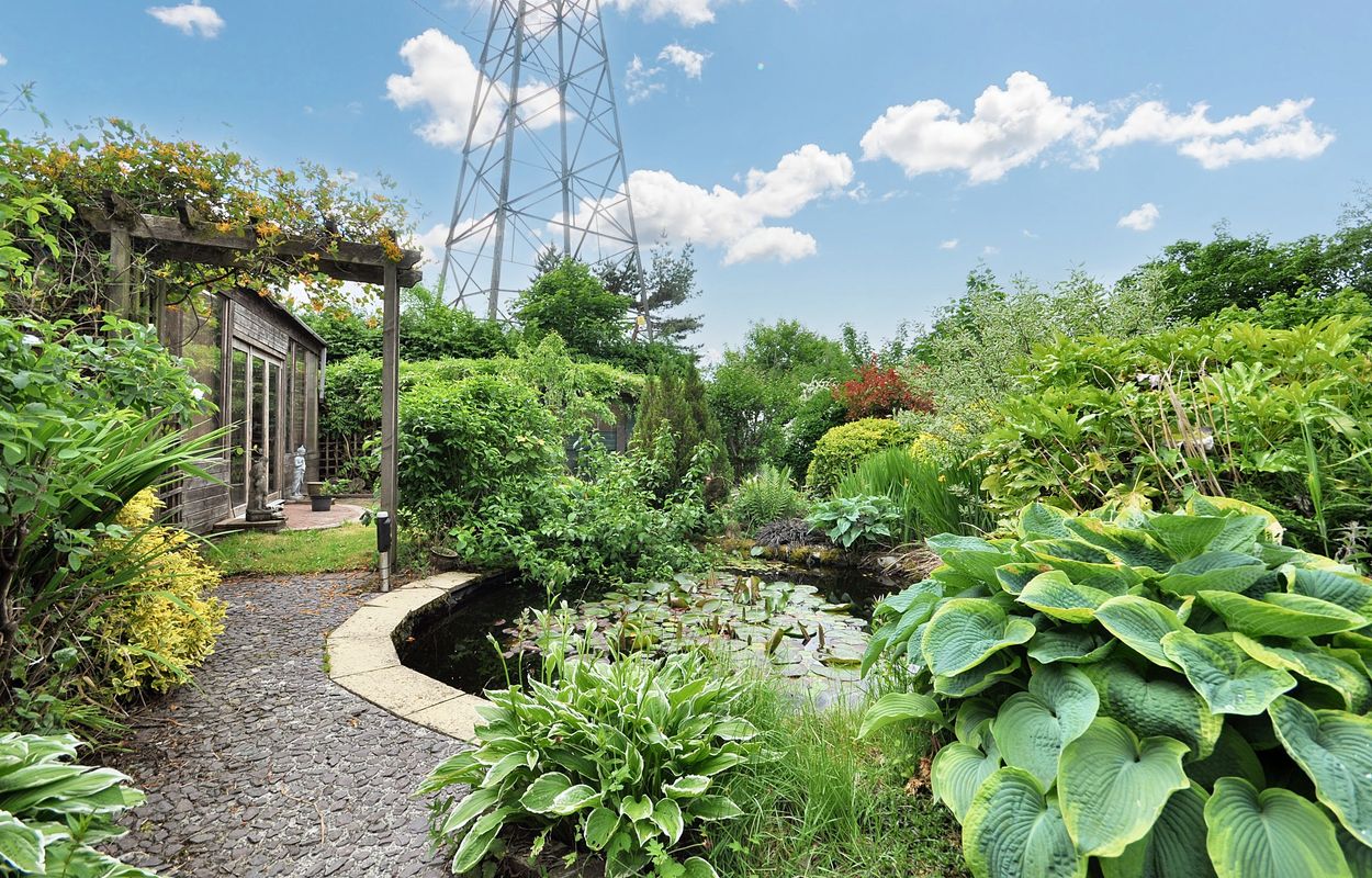 Garden 7